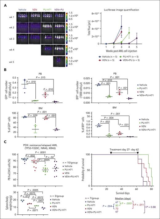 PU plus VEN has enhanced antileukemia activity against both TP53-WT and -mutant AML in vivo. NSG mice injected with a mixture of luciferase-/GFP-labeled TP53-WT Molm13 cells and BFP-labeled TP53-R248W Molm13 cells (10:1 ratio) or NSGS mice injected with a PDX TP53-mutant cells (2 × 106 cells per mouse) were treated with PU (50 mg/kg), VEN (50 mg/kg), or both. (A) Luciferase imaging of leukemia burden in NSG mice: (left) images of individual mice and (right) quantification of luciferase imaging of all mice per treatment group). (B) Flow cytometry was used to identify TP53-WT and -R248W Molm13 cells in PB and BM after 3-week treatment. (C) Circulating blasts and spleen weight after 4-week treatment (left) and mouse survival in NSGS mice (right). PDX, patient-derived xenograft.