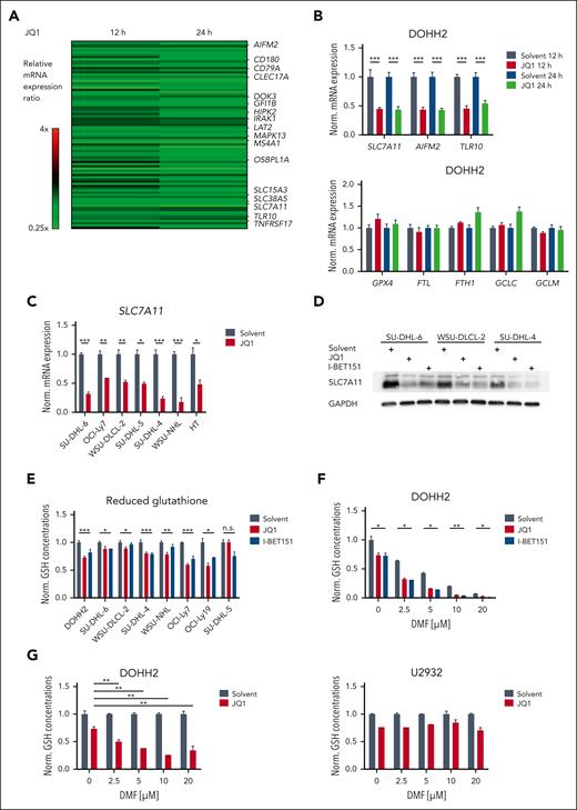 BET inhibitors control the expression of ferroptosis-associated genes in DLBCL. (A) Heatmap of genes differentially expressed in DOHH2 cells treated with 0.25 μM JQ1 for 12 or 24 hours compared to the solvent control. Gene expression changes are depicted according to the color scale. (B) DOHH2 cells were treated with 0.25 μM JQ1 for 12 or 24 hours. Transcript levels of the indicated genes were quantified by qPCR. Expression in JQ1-treated cells was normalized to the respective solvent control. SDHA served as reference gene. (C) SLC7A11 mRNA levels of solvent- or JQ1-treated GCB-DLBCL cell lines were determined by qPCR. SDHA served as reference gene. (D) The indicated GCB-DLBCL cell lines were incubated with 0.25 μM JQ1 or I-BET151 for 48 hours. SLC7A11 protein levels were visualized by immunoblotting. Glyceraldehyde 3-phosphate dehydrogenase (GAPDH) served as loading control. (E) Reduced GSH was quantified in the indicated GCB-DLBCL cell lines upon treatment with solvent, JQ1 or I-BET151 for 24 hours. GSH concentrations were normalized to the respective solvent control. (F) DOHH2 cells were treated with 0.25 μM JQ1 or I-BET151 alone or in combination with different concentrations of DMF. GSH levels were quantified and normalized to the solvent control. (G) The GCB-DLBCL cell line DOHH2 and the ABC-DLBCL cell line U2932 were treated with 0.25 μM JQ1 alone or in combination with the indicated concentrations of DMF. GSH levels were quantified and normalized to the respective DMF-treated controls. Error bars correspond to the mean ± SD. Data are representative of at least 3 (B-C,E-F) or 2 (D,G) independent experiments. ∗P < .05; ∗∗P < .01; ∗∗∗P < .005. GSH, glutathione; mRNA, messenger RNA; n.s., not significant; qPCR, quantitative polymerase chain reaction.