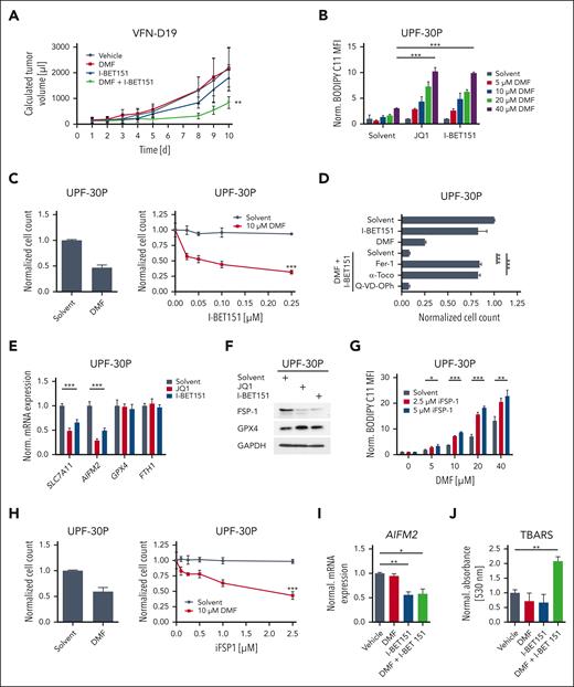 BET inhibition synergizes with DMF in killing GCB-DLBCL cells in vivo. (A) VFN-D19 patient-derived xenograft mice were treated with either vehicle, DMF, I-BET151 or the combination of DMF and I-BET151 for 5 consecutive days (days 1-5), as indicated. Tumor volume was quantified by caliper measurements up to 10 days after start of the treatment. Each group consists of ≥7 animals. (B) Lipid peroxidation in UPF-30P cells treated with DMF, JQ1, I-BET151, or the indicated combinations was assessed by flow cytometry. The MFI of oxidized BODIPY C11 in treated cells was normalized to the MFI of the solvent control. (C) UPF-30P cells were treated with DMF alone (left panel) or in combination with I-BET151 (right panel). After 48 hours, cell numbers were determined and the combination treatment was normalized to the DMF single treatment. The CI for treatment with 10 μM DMF and 0.25 μM I-BET151 is 0.32. (D) The potential of 10 μM ferrostatin-1 (Fer-1), 100 μM α-tocopherol (α-Toco) and 10 μM Q-VD-OPh to prevent the toxicity induced by cotreatment with DMF and I-BET151 was analyzed in UPF-30P cells. (E) Transcript levels of the indicated genes in JQ1- or I-BET151-treated UPF-30P cells were quantified by qPCR. SDHA served as reference gene. (F) FSP1 protein expression in UPF-30P cells 24 hours after JQ1 or I-BET151 treatment was visualized by immunoblotting. Glyceraldehyde 3-phosphate dehydrogenase served as loading control. (G) UPF-30P cells were treated with solvent, DMF, and iFSP1 for 2 hours, as indicated. Lipid peroxidation was quantified by flow cytometry. The MFI of oxidized BODIPY C11 in treated cells was normalized to the MFI of the solvent control. (H) Survival of UPF-30P cells after 24 hours of combinatorial treatment with DMF and iFSP1 (right panel) was normalized to the DMF single treatment (left panel). The CI for treatment with 10 μM DMF and 2.5 μM iFSP1 is 0.46. (I-J) VFN-D19 patient-derived xenograft mice were treated with either vehicle, DMF, I-BET151 or the combination of DMF and I-BET151 (n = 3 for each group) for 3 consecutive days. Subsequently, the respective tumors were isolated und analyzed for AIFM2 mRNA expression by qPCR (I) or malondialdehyde levels by thiobarbituric acid reactive substances (TBARS) assay (J). Error bars correspond to the mean ± SD. Data are representative of at least 3 (B-F,H) or 2 (G) independent experiments. ∗P < .05; ∗∗P < .01; ∗∗∗P < .005. CI, combination index; MFI, mean fluorescence intensity; qPCR, quantitative polymerase chain reaction.