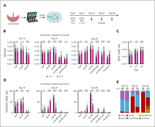 In vitro modeling of human B lymphopoiesis recapitulates aberrant differentiation and expansion of early BCPs in the absence of IL-7. (A) In vitro differentiation of human BCPs with CB-derived CD34+ hematopoietic progenitor cells. Mononuclear cells were purified via Ficoll density centrifugation and CD34+ progenitor cells were isolated by positive selection using magnetic-activated cell sorting. CD34+ cells were stimulated with FMS-like tyrosine kinase 3 ligand (FLT3L), stem cell factor (SCF), and IL-6 after isolation and restimulated with FLT3L and SCF on day 7, with IL-7 being added to the control samples. Cells were harvested on days 14, 21, and 28 after initiation of cultures for analysis. (B-E) Absolute (B-C) and relative (D) cell counts and distribution of BCP stages (E) of in vitro differentiated BCPs on days 14, 21, and 28. Data show the median, with error bars representing the interquartile range for panels B-D and the median only of each population for panel E. Statistical analysis was performed with multiple Mann-Whitney tests and corrected for multiple comparisons with the Holm-Šídák method for data shown in panels B-D (n = 7, each with 2-5 replicates). P values are denoted as follows: ∗P < .05; ∗∗P < .01; ∗∗∗P < .001;∗∗∗∗P < .0001. ns, not significant.