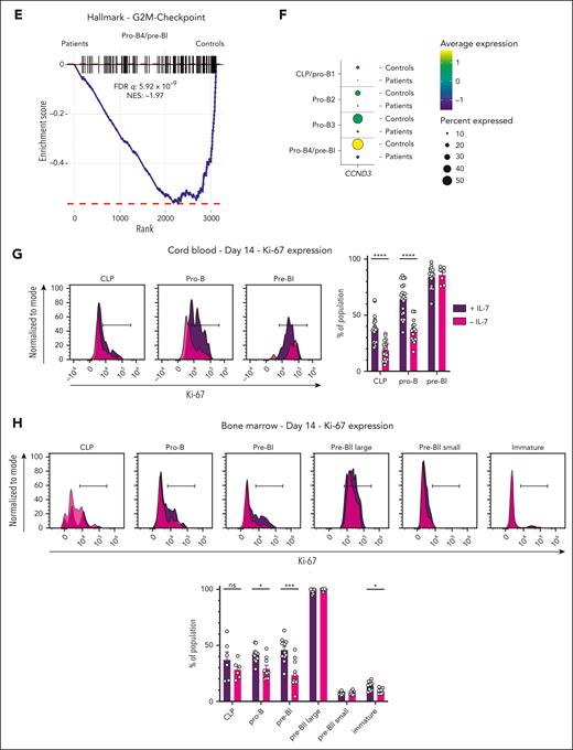IL-7 signaling induces proliferation of early BCP but does not profoundly affect proliferation of pre-BII large cells. (A) Flow cytometric quantification of Ki-67 expression in individual BM BCP populations in controls vs patients, shown for 1 representative control and 1 patient. (B) Cells were assigned to the different cell cycle phases as described in "Methods.” UMAP plot of the entire combined data set of controls and patients, showing the cell cycle phase of each cell (blue: G1; green: S phase; and pink: G2/M phase). (C) Distribution of cell cycle phases per cluster shown for controls vs patients. Bars indicate percentages per cluster. (D) Dot plot showing expression of proliferation markers for individual clusters in controls vs patients. (E) GSEA analysis with the G2M hallmark gene set performed for the pro-B4/pre-BI cluster with the differentially expressed genes between patients and controls, showing enrichment of the gene set in the controls. (F) Dot plot showing expression of CCND3 in early BCP clusters in controls vs patients. (G-H) Flow cytometric quantification of Ki-67 expression in individual BCP populations in IL-7 stimulated vs unstimulated CB (G) and BM (H) cultures. The black bar denotes gate for positive cells. Bar graphs show mean with error bars representing standard error of the mean. Statistical analysis was performed with multiple unpaired t tests and corrected for multiple comparisons with the Holm-Šídák method. All replicates are shown (CB: n = 7, each with 2-5 replicates; BM: n = 3, each with 3-6 replicates). P values are denoted as follows: ∗P < .05; ∗∗∗P < .001; ∗∗∗∗P < .0001.