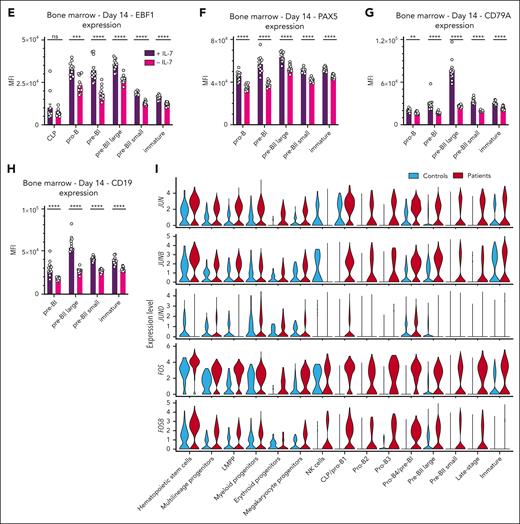 IL-7Rα signaling stimulates the B-lymphoid fate and represses AP-1 transcription factors. (A) Expression of BACH2, EBF1, PAX5, CD74, and CXCR4 plotted across the pseudotime of the early BCP subset as shown for controls and patients. (B) Dot plots showing expression of the EBF1 and PAX5 target genes CD79A, CD79B, VPREB1, and IGLL1 in early BCP clusters in controls vs patients. (C) Flow cytometric quantification of PAX5, CD79A, and CD19 expression in indicated BCP populations in the BM of controls and patients. (D) Heatmap showing expression of myeloid and lymphoid genes in early BCP clusters with unsupervised clustering. (E-H) Flow cytometric quantification of EBF1 (E), PAX5 (F), cytoplasmic CD79A (G), and CD19 (H) expression in individual BCP populations in IL-7–stimulated vs unstimulated BM cultures at day 14. Representative histograms are shown in supplemental Figure 6. Bar graphs show the median with interquartile range (E,G-H) or mean with standard error of the mean (F). Statistical analysis was performed with multiple Mann-Whitney tests (E,G-H) or unpaired t tests (F) and corrected for multiple comparisons with the Holm-Šídák method. Data collected from 3 experiments with 3 different BM donors. All replicates are shown (n = 3 BM samples, each with 3 or 6 replicates). (I) Violin plots showing expression of JUN and FOS family members across all clusters in patients vs controls. P values are denoted as follows: ∗∗P < .01; ∗∗∗P < .001; ∗∗∗∗P < .0001.