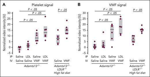 Contrast-enhanced ultrasound molecular imaging in Adamts13−/− and Adamts13−/−LDLR−/− mice.Adamts13−/−LDLR−/−mice (aged 23-25 weeks) were put on high fat diet for 2 weeks before imaging, with microbubbles functionalized to detect platelet (A) and VWF (B) signals on the myocardial microcirculation. A challenge with LDL (300 μg/g body weight; IP) was administered 2 hours before imaging in Adamts13−/− mice (aged 17-19 weeks). A challenge with VWF (5 μg/g body weight; IV) was administered 1 hour before imaging. P values were by t test.