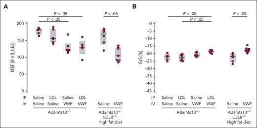 Examination of myocardial microvascular perfusion and function of the experimental mice in Figure 4 using echocardiography. Elevated levels of VWF and LDL decrease myocardial blood flow (MBF) (A) and global longitudinal strain (GLS) (B). (A) MBF, MBV, and β. (B) GLS, expressed as the percent change in heart muscle in the ventricle-apex axis at end-diastole. P values were by t test.