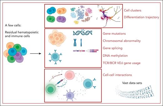 Single-cell multiomics study in BMF syndrome. By starting with just a few cells, single-cell multiomics studies can yield a wealth of information on various aspects of BMF syndrome diseases and treatment: vast data sets, cell clusters, hematopoietic differentiation trajectory, chromosomal abnormalities, gene mutations, gene splicing, DNA methylation, TCR/B-cell receptor (BCR) variable diversity joining (VDJ) gene usage, and cell–cell interactions. Figure created with BioRender.com.
