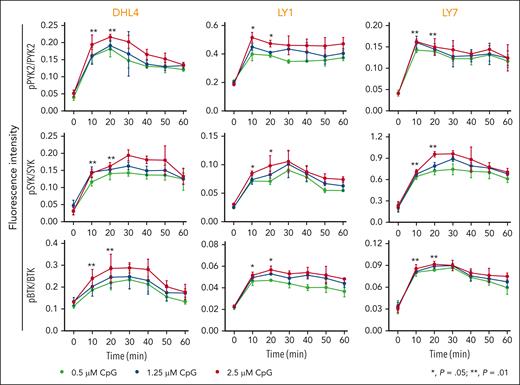 Physiologic TLR activation augments proximal BCR signaling in DLBCL. Line graphs of the normalized fluorescence intensity of pPYK2/PYK2, pSYK/SYK, and pBTK/BTK in DHL4, LY1, and LY7 cells treated with CpG (0.5, 1.25, and 2.5 μM) for 60 minutes and analyzed using in-cell western blot. Error bars represent the standard deviation of 3 independent replicates from a representative experiment. The statistical significance of the changes in fluorescence intensity at 10 and 20 minutes compared with that at baseline (time 0) was measured using the Mann-Whitney test. ∗P = .05; ∗∗P = .01.