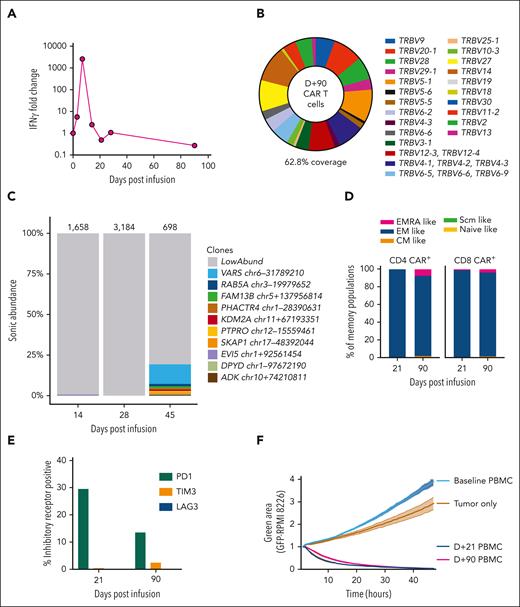 Phenotypic and functional properties of CAR T cells. (A) Serum interferon gamma (IFN-γ) fold change from baseline is displayed. Levels increase rapidly following CAR T-cell infusion and peak at D+7 after infusion at 2576-fold increase. Baseline value was 1.29 pg/mL, increasing to 3323 pg/mL on D+7. (B) Flow cytometry assessment of T-cell receptor Vβ repertoire gated on CAR+ T cells from a D+90 peripheral blood mononuclear cell (PBMC) sample. This assay detected Vβ repertoire of 62.8% of CAR+ T cells, which was a similar level of coverage to healthy donor T cells run in parallel (data not shown). (C) The relative clonal abundance of lentiviral integration sites is displayed. Most are of low abundance (gray shading), consistent with a polyclonal population of transduced cells. At D+45, a small clone (12%) with an integration site in VARS1 emerged. Numbers above the columns indicate the numbers of cells sampled. Genomic locations of the most abundant clones (all found at D+45) are shown in the key at right (numbers refer to locations on the hg38 draft of the human genome sequence). (D) Immunophenotyping of CD4 CAR+ and CD8 CAR+ T cells from D+21 and D+90 PBMCs is shown. Naïve-like (CD45RA+CCR7+CD95−), stem cell memory (Scm)–like (CD45RA+CCR7+CD95+), central memory (CM)–like (CD45RA−CCR7+), effector memory (EM)–like (CD45RA−CCR7−), and EMRA-like (CD45RA+CCR7−) populations are displayed. Most CAR T cells are EM-like, with a small population of EMRA-like CAR T cells emerging at D+90. (E) PD1, TIM3, and LAG3 expression levels were assessed by immunophenotyping. The percentages of CAR+ T cells at D+21 and D+90 expressing these inhibitory receptors are displayed. (F) A real-time cytotoxicity assay of PBMCs from D+21 and D+90 was performed against the BCMA/green fluorescent protein (GFP)–positive target cell line RPMI-8226 (in a 1:1 effector–to–target cell ratio). The green area corresponds to viable GFP+ cells and inversely relates to cytotoxicity. Triplicates were performed, and mean and standard error of the mean are plotted. Both D+21 and D+90 PBMCs rapidly eliminated tumor cells, compared with tumor cells cultured alone or with baseline (D-5) PBMCs.