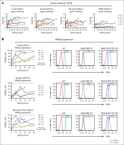 Evolution of gene marking and protein expression after GT. (A) WAS gene marking. (B) WASp expression (% WASp+ cells) by flow cytometry in different subsets; showing flow cytometry example from a representative patient (patient 5). dg, diploid genome; PMN, polymorphonuclear; Pt, patient.