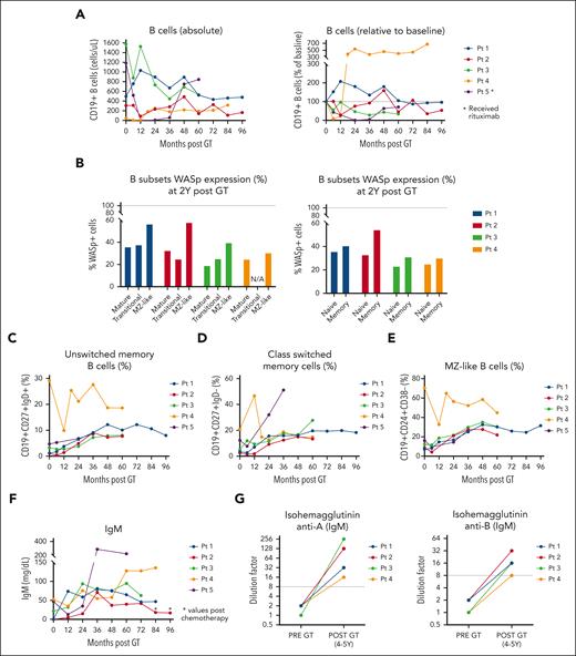 Reconstitution of humoral immunity. (A) Reconstitution of B cells after GT (left: absolute values; right: relative to baseline). (B) WASp expression in B-cell subsets (percentage of WASp+ cells) measured by flow cytometry (2 years after GT). (C) Percentage of unswitched memory B cells after GT. (D) Percentage of class-switched memory B cells after GT. (E) Percentage of MZ-like B cells after GT. (F) Evolution of IgM levels after GT. Asterisks (∗) indicate values after chemotherapy. (G) Isohemagglutinin titers (before and 4-5 years after GT).