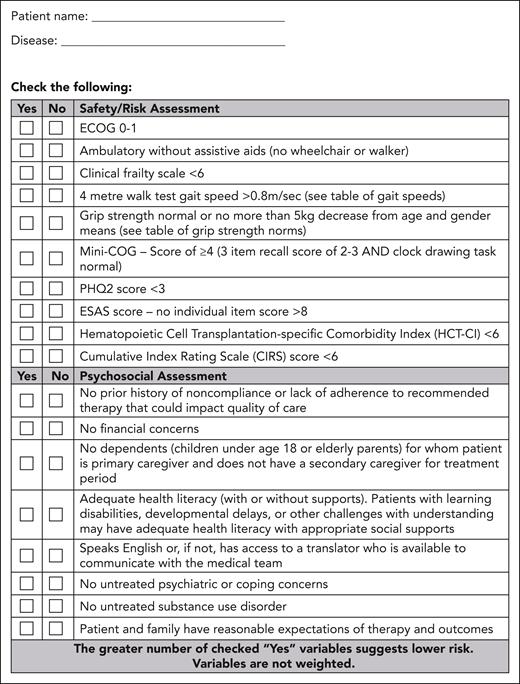 Form B: safety/risk and psychosocial assessment tool. This form enables a standardized assessment of safety, psychosocial factors, and documentation. ESAS, Edmonton Symptom Assessment System; PHQ2, Patient Health Questionnaire-2.