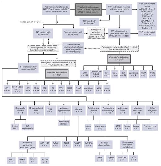 Patient selection. All individuals referred to the NRCTC with suspected aHUS were considered for study entry. Individuals referred between 1995 and 2012 (before the approval of eculizumab) and those not treated with eculizumab were retrospectively identified. Those with a pathogenic mutation in a gene associated with aHUS or a positive factor H autoantibody were included in the control cohort. Individuals referred to the National Service between 2013 and July 2019 with suspected aHUS who received eculizumab for native kidney disease were prospectively identified and included in the treated cohort. Recipients who had undergone kidney transplantation were excluded. Individuals referred after 2013 but who did not receive eculizumab, were included in the control cohort. THBD and VTN mutations have been reported in aHUS but were not detected in our cohort, and the PLG susceptibility variant c.1481C>T42 was identified in 1 individual who had compound heterozygous DGKE mutations. «Twenty-two individuals were treated with eculizumab between 2010 and 2012, before regulatory approval, either as part of a clinical trial or on compassionate grounds. ¥Excluding individuals treated preemptively during kidney transplantation or posttransplantation. In addition to eculizumab, treatment could have comprised supportive management, renal replacement therapy, and plasma exchange. ¢Management determined by the treating physician could have comprised supportive management, renal replacement therapy, and plasma exchange. ¤Of the 40 individuals, 24 recovered renal function, 15 developed/presented with ESKD, and 1 died. See supplemental Table 1 for genetic and clinical details. ꬸFor survival analysis, 17 individuals were analyzed in the control CaHUS group until the point at which they received eculizumab for relapse and were then analyzed in the treated CaHUS group. CFH, n = 8; CD46, n = 7; C3, n = 1; combined, n = 1. ‡For 2 individuals (nmd) in the treated CaHUS cohort and 13 individuals in the control CaHUS cohort (CFH, n = 5; CFHR1 hybrid, n = 1; CFI, n = 1; CD46, n = 4; C3, n = 1; and FHAA, n = 1), survival data were not available. ¶Thrombotic thrombocytopenic purpura is excluded before treatment with eculizumab: treatment is not commenced if ADAMTS13 <10%. Other secondary TMAs may be identifiable before the initial decision to commence eculizumab based on clinical history or initial laboratory testing: disseminated intravascular coagulation; malignancy-associated TMA; bone marrow transplantation–associated TMA; de novo TMA after solid organ transplantation; and drug-induced TMA. Some secondary TMAs may not be identified until further genetic or serological tests or kidney biopsies are available: Shiga toxin HUS (STEC-HUS); pneumococcal HUS; HIV; cobalamin C deficiency TMA; glomerular disease–associated TMA; and autoimmune disease–associated TMA. #No complement mutations and no FHAA were identified in any of those with a secondary cause identified. §PLG screened only for the susceptibility variant c.1481C>T rs4252128; identified in 1 individual (with compound heterozygous DGKE mutations). ꬸOther diagnoses, n = 4: renal biopsy specimen showed severe chronic damage, no TMA detected with a renal biopsy specimen; renal biopsy specimen showed acute tubular necrosis; no TMA detected with a renal biopsy specimen; died before definitive diagnosis made. ∗Analysis of variants in July 2020 classified those with definitive evidence of functional significance as pathogenic and those without as VUS. GN, glomerulonephritis; IgA, immunoglobulin A; PNH, paroxysmal nocturnal hemoglobinuria.