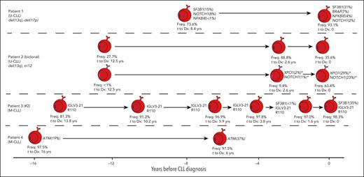 Longitudinal overview of somatic variants observed in CLL-associated genes in 4 patients during the early stages of MBL/CLL development. Only patients with samples likely to constitute a low-count MBL clone are shown (initial sample ranging from 16 to 8.4 years before CLL diagnosis). Each sample is depicted as an MBL/CLL clone for which variants present are indicated alongside the VAF, with variants with a VAF below 1% depicted as <1%. Low-frequency variants (<3%) are only shown if validated through ddPCR. Each sample is labeled with the dominant clonotype frequency (Freq.) as determined through NGS amplicon sequencing of the IGH gene repertoire. X-axis denotes time at which each blood sample was drawn in years before diagnosis. ∗Notably, NOTCH1 and XPO1 variants observed in biclonal CLL patient 2 (indicated with an asterisk) were annotated next to the expanding CLL clone corresponding with the expansion of these variants over time to diagnosis, although formally, we are not able to exclude the possibility that these variants could be present in the other CLL clone in this patient. Stereotypic subsets are indicated for the relevant patients. Cytogenetic aberrations observed at diagnosis are shown when available. The 8 other patients for whom no somatic variants were observed are not included in this graphic.