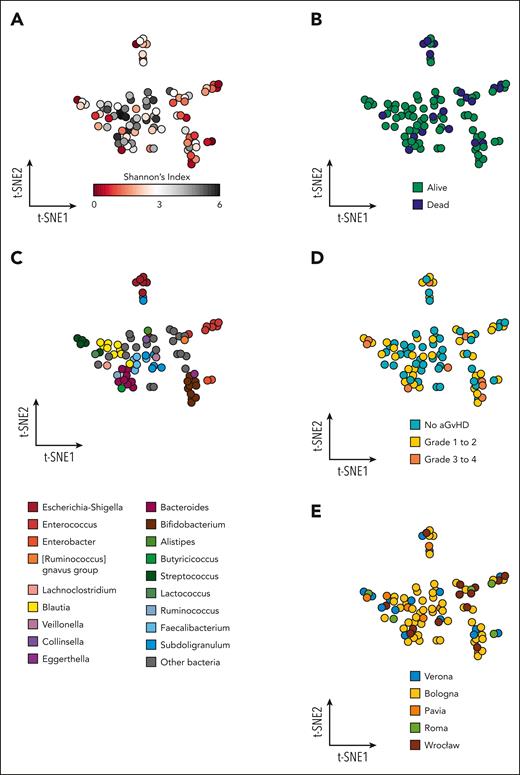 Pretransplant GM and outcomes in pediatric patients undergoing allo-HSCT. The GM composition at the genus level of the 90 patients before transplantation is represented according to the t-SNE algorithm. Each point represents a stool sample from a single patient, and the axes (t-SNE1 and t-SNE2) have arbitrary units. The more similar the samples are in microbiota composition, the closer they appear on the t-SNE plot. Higher-diversity samples (A) congregate in the center and tend to colocalize with favorable survival outcome (B). The outer ring is mostly composed of lower-diversity samples, which show a higher presence of Escherichia-Shigella, Enterococcus, Enterobacter, and Streptococcus when color-coded for the most abundant taxon detected (C). A similar trend can be observed for the onset of aGVHD (aGVHD) (D), especially grade 3 to 4 aGVHD. Samples from all 5 institutions are well distributed across the t-SNE space (E).