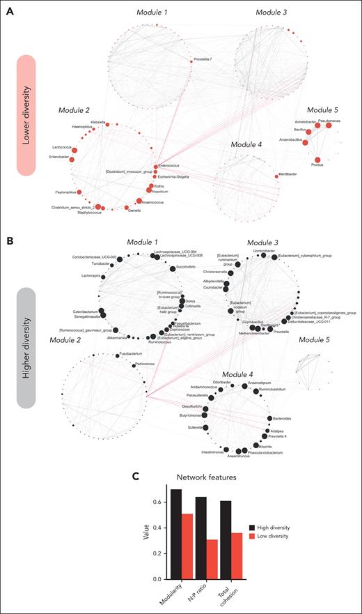 GM networks of the higher- and lower-diversity groups before allo-HSCT. Correlation networks of interactions reconstructed from genus-level compositional data in the lower- (A) and higher- (B) diversity groups before allo-HSCT. Red lines represent negative interactions, whereas solid gray lines stand for positive ones. Node size is proportional to the overabundance value of the corresponding genus in the GM configuration of the diversity group considered. Only nodes corresponding to genera showing overabundance ≥1.4 were displayed. Labels were displayed only for genera showing an overabundance of at least 1.5. The 5 different modules detected according to a statistical mechanics spin-glass model and simulated annealing are noted with labels. (C) Values of computed network features (ie, modularity, N:P ratio, and TC).