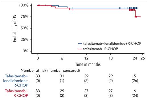Probability of OS in arm T and arm T/L at 24 months.