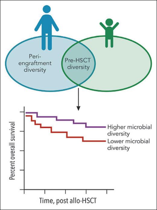 The Venn diagram shows the overlapping features in pediatric1 and adult2 allo-HSCT recipients. In adults, diversity of the pretransplant and peri-engraftment intestinal microbial communities has been associated with overall survival (OS): high diversity correlates with longer OS. In this pediatric study, the diversity of the pretransplant microbiome was correlated with OS, but the peri-engraftment time point was not. The survival curve denotes the common finding between pediatric1 and adult2,3 allo-HSCT recipients: ie, higher microbial diversity pretransplant is associated with improved OS. Professional illustration by Patrick Lane, ScEYEnce Studios.