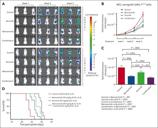 Inhibition of AXL by bemcentinib reduces tumor burden and increases survival in an MCL xenograft mouse model. (A) Female nonobese diabetic severe combined immunodeficiency gamma mice were injected IV with 5 × 105 JeKo-1Luc+ cells. The mice were imaged weekly, both dorsally and ventrally (10 minutes after intraperitoneal injection with 150 mg/kg of 25 mg/mL D-luciferin). The mice were distributed in the following groups: control (vehicle only every day), bemcentinib treatment (50 mg/kg twice a day), ibrutinib treatment (25 mg/kg every day), and combination treatment (ibrutinib + bemcentinib) based on total bioluminescence. Following the assignment, there was no statistical difference between the groups (P > .99; 1-way analysis of variance test). JeKo-1Luc+ xenografts were treated for 4 weeks with vehicle every day (control), ibrutinib (25 mg/kg, every day), bemcentinib (50 mg/kg, twice a day) or the combination of ibrutinib and bemcentinib (same dose as single treatment) (n = 6). (B) Bioluminescence imaging (BLI) was assessed weekly to monitor disease progression. (C) Quantification of BLI signal from the different treatment groups in week 3 (n = 6). Bemcentinib significantly reduced the BLI signal in comparison with the control group (P < .0004) or to ibrutinib single treatment (P < .0247). (D) Kaplan-Meier plots showing the effect of the different treatments on the survival of mice with MCL-cell xenografts (n = 8).