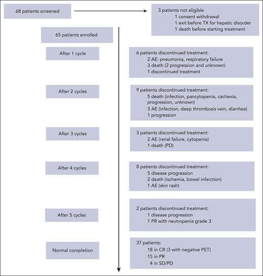 Study profile. Flowchart of the patients included in the study from screening to EOI. CR, complete response; PD, progressive disease; PET, positron emission tomography; PR, partial response; SD, stable disease; TX, treatment.