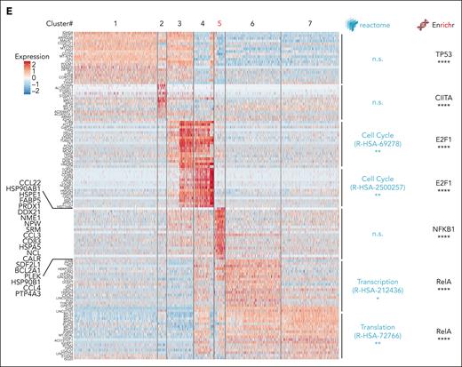 Longitudinal single-cell RNA-seq analysis of MCL during OAsIs. (A) UMAP plots of the cells from patient MCL34 at inclusion (incl.) and at relapse (Rel) after OAsIs treatment. Each dot represents a single cell. UMAP plots display the NIK/ NFκB2 (left panel), NFκB1 (middle panel) and BCR (right panel) signature scores at incl. and Rel. Wilcoxon sign-rank test; ∗∗∗∗Padj < .0001. (B) UMAP plot of the 7 clusters identified by Seurat at incl. and at Rel after OAsIs treatment for the patient MCL34. The cell proportion for each cluster at incl. (green) or Rel (pink) is indicated at the bottom. (C) UMAP plot displaying the cell-cycle signature scores at incl. and Rel for the patient MCL34. Cell proportion of cycling (red) or resting (gray) in each cluster is indicated at the bottom. (D) Trajectory of single cells at incl. and at Rel using Monocle2. Clusters defined in panel B are identified in the lower panel. (E) Heatmap showing the top 20 genes for each cluster. The color gradient indicates the intensity of the median gene expression as indicated. Functional enrichment pathway was calculated using Reactome and Enrichr. ∗∗∗∗Padj < .0001. UMAP, Uniform Manifold Approximation and Projection.