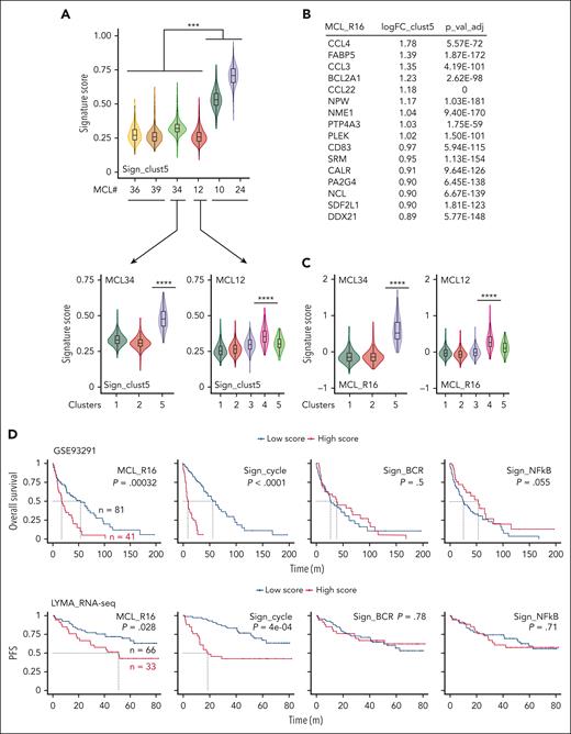 OAsIs resistance score predicts a less favorable outcome in MCL. (A) The sign_clust5 score was computed based on the 742 genes characteristic of cluster #5 of patient MCL34, as represented in Figure 2E. The violin plot shows the sign_clust5 score for patients who achieved complete response (MCL36, MCL39), rapid relapse after the initial response (MCL34, MCL12), or progression (MCL10, MCL24). The analysis was performed at the whole sample level (upper panel) or at Seurat-computed cluster level (lower panel). Mann-Whitney test; ∗∗∗P < .001, ∗∗∗∗P < .0001. (B) Sixteen genes comprising a novel OAsIs resistance score (MCL_R16) based on the top genes of the sign_clust5 signature. (C) The MCL_R16 score was computed at Seurat-computed cluster level in MCL34 and MCL12 at the time of inclusion. Mann-Whitney test; ∗∗∗∗P < .0001. (D) Kaplan-Meier analyses of OS or PFS for the MCL_R16, cell-cycle, BCR, and NFκB signatures. Probabilities were calculated on 122 MCL patients treated with R-CHOP (GSE93291) or on 99 MCL patients included in the LYMA cohort (LYMA_RNA-seq) respectively. Blue curve: low score, red curve: high score. Log-rank test.