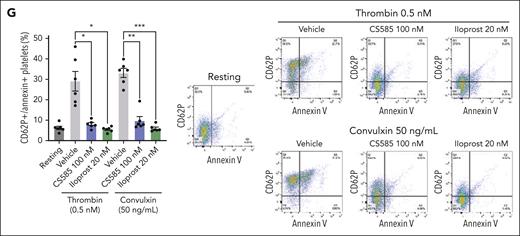 CS585 attenuates ex vivo platelet adhesion and thrombus formation under flow. (A) Human whole blood treated with vehicle or CS585 (0.062-5 μM) was perfused on a collagen-coated PL chip at arterial shear using T-TAS (n = 5). Data represent mean ± SEM. One-way ANOVA with Dunnett correction. (B) Quantification and representative images of platelet adhesion and accumulation in human whole blood stained with DiOC6 and treated with vehicle or CS585 (250 nM-1 μM) perfused through a collagen-coated chamber at arterial shear (n = 6). Data represent mean ± SEM. Two-way ANOVA. Scale bars represent 100 μm. (C) Human whole blood treated with vehicle or iloprost (0.125-2.5 nM) and then perfused on a collagen-coated PL chip at arterial shear using T-TAS (n = 5). Data represent mean ± SEM. One-way ANOVA with Dunnett correction. (D) Quantification and representative images of platelet adhesion and accumulation of human whole blood stained with DiOC6 and treated with vehicle or iloprost (0.25-1 nM) perfused through a collagen-coated chamber at arterial shear (n = 6). Data represent mean ± SEM. Two-way ANOVA. Scale bars represent 100 μm. (E) Human whole blood treated with vehicle or an IP receptor inhibitor (Ro 1138542, 5 μM) before treatment with vehicle or CS585 (1 μM) perfused on a collagen-coated PL chip at arterial shear using T-TAS (n = 5). Data represent mean ± SEM. One-way ANOVA with Tukey multiple comparison test. (F) Quantification and representative images of platelet adhesion and accumulation in human whole blood stained with DiOC6 and treated with vehicle or an IP receptor inhibitor (Ro 1138542, 5 μM) before treatment with vehicle or CS585 (1 μM) perfused through a collagen-coated chamber under arterial shear (n = 6). Data represent mean ± SEM. Two-way ANOVA. Scale bars represent 100 μm. (G) Quantification and representative contour plots of phosphatidylserine exposure in washed human platelets treated with vehicle, CS585 (100 nM), or iloprost (20 nM), incubated with annexin V and an antibody for CD62P, then stimulated with 0.5 nM thrombin or 50 ng/mL (n = 5). Data represent mean percentage of dual-positive platelets ± SEM. One-way ANOVA with Tukey multiple comparison test. ∗P < .05; ∗∗P < .01; ∗∗∗P < .001; ∗∗∗∗P < .0001.