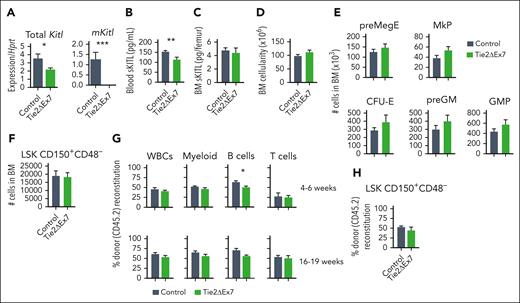 mKITL expressed by ECs is required for sustaining systemic sKITL levels but not BM HSCs in adolescent mice. (A) qPCR analysis of Kitl messenger RNA (mRNA) levels using Kitl exon 2-3–spanning (measuring total Kitl mRNA) and exon 7-8–spanning (measuring mRNA generating mKITL) amplicons on FACS-purified BM ECs (CD45–TER119–CD31+) from 4- to 6-week-old Tie2ΔEx7 (n = 6) and wild-type littermate control mice (n = 13). Mean (± SEM) expression relative to Hprt is shown. (B) sKITL levels measured by ELISA in the blood serum from 4-week-old wild-type (control; n = 17) and Tie2ΔEx7 (n = 11) mice. The parametric Student t test was used for statistical analysis. (C) sKITL levels measured by ELISA in the BM extracellular fluid from 4-week-old wild-type (control; n = 10) and Tie2ΔEx7 (n = 4) mice. (D-F) Mean (± SEM) BM cellularity (D), number of committed myelo-erythroid progenitor cells (E) and LSK CD150+CD48– HSCs (F) from 2 femurs and 2 tibias from 4- to 5-week-old wild-type (control; n = 11) and Tie2ΔEx7 (n = 9) mice. No significant (P < .05) differences detected by either a parametric or nonparametric t test. (G-H) Percent CD45.2 contribution to total WBCs, MAC1+GR1+ myeloid cells, CD19+ B cells, and CD4/CD8a+ T cells in the blood at 4 to 6 and 16 to 19 weeks (G), and BM LSK CD150+CD48– HSCs at 16 to 19 weeks (H) after transplantation of BM from 5-week-old wild-type (control; n = 4) and Tie2ΔEx7 (n = 5) CD45.2 mice, in competition with wild-type CD45.1 BM cells. Unless otherwise specified, all data represent mean ± SEM, the nonparametric Mann-Whitney test was used to assess statistical significance. ∗P < .05; ∗∗P < .01; ∗∗∗P < .001.