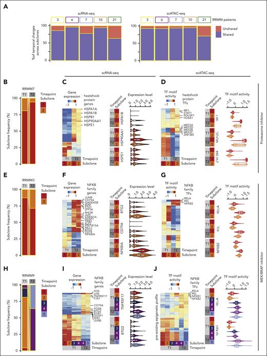 Subclone-specific adaptation mechanisms to treatment reflect the clonal evolution pattern. (A) (Left) Percentage of differentially expressed genes between T1 and T2 that are shared across subclones of the same patient (Padj ≤ .05; 1.5-fold enrichment both ways; Wilcoxon rank sum test). (Right) Percentage of TF motif activity changes between T1 and T2 (Padj ≤ .05) that are shared across subclones of the same patient. Motif deviation scores were calculated based on all differential peaks, with Padj ≤ .05 and 1.5-fold enrichment (Wilcoxon rank sum test). (B,E,H) Bar plot depicting the subclone frequency of patients (B) RRMM7, (E) RRMM3, and (H) RRMM9 and time points (T1/T2) based on scATAC-seq data. Individual stacks are colored according to the respective subclone identity. (C,F,I) Gene expression changes for patients (C) RRMM7, (F) RRMM3, and (I) RRMM9 across subclones from T1 to T2. Color indicates pseudobulk gene expression of the differentially expressed genes between T1 and T2 (Padj ≤ .05; RRMM3+7: 1.5-fold enrichment both ways, RRMM9: log2-fold change >0.25 both ways; Wilcoxon rank sum test). (Left) Heatmap of scRNA-seq pseudobulk expression across subclones and timepoints. Significant (C) HSPs or (F,I) genes of the NF-κB pathway commonly upregulated in all subclones that have previously been described in the context of drug resistance are labelled. (Right) Violin plots showing normalized gene expression per time point and subclone for HSPs or genes belonging to the NF-κB pathway. (D,G,J) Epigenetic changes for patients (D) RRMM7, (G) RRMM3, and (J) RRMM9 across subclones from T1 to T2. Color indicates pseudobulk TF motif activity of the top 50 most highly variable TFs (plus NF-κB TFs motifs for RRMM9). (Left) Heatmap of the top 50 of 54 TF motifs, which show a significant higher or lower motif deviation score at relapse (T2) compared with that at T1. (D) TFs putatively binding to the HSPs promoter or (G,J) TFs from the NF-κB family commonly upregulated in both subclones are labelled. (Right) Violin plots showing scATAC-seq TF motif activity per time point and subclone for 2 or 3 exemplary TFs.