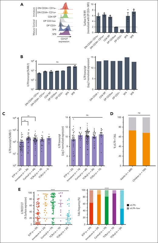 The landscape of IL-7R expression in normal and malignant thymocytes. (A) Surface IL-7Rα chain (CD127 or sIL-7R) expression was analyzed by flow-cytometry (FC) on gated thymocytic subpopulations from human thymi (n = 3), as described in “Methods.” (Left) A representative example is shown for a single thymus. (Right) For each thymus, the median fluorescence intensity (MFI) of each thymocyte subpopulation was normalized to DP CD3+ thymocytes median fluorescence intensity. The ratio of fluorescence intensity is shown for each thymocytic subpopulation. The mean and standard error of the mean are shown. (B) (Left) IL-7R expression was analyzed using quantitative reverse transcription polymerase chain reaction (qRT-PCR) on thymocytic subpopulations sorted from 2 independent human thymi. IL-7R transcript level is expressed as the percentage of ABL1 endogenous control. Means and SEM are shown. Kruskal-Wallis test with post hoc Dunn multiple comparisons. (Right) IL-7R expression was assessed using bulk RNA-seq on sorted thymic subpopulations from 1 human thymus. Normalized log2 expression values are shown. (C) IL-7R expression was analyzed in a cohort of adult T-ALL cases using qRT-PCR (n = 146) and bulk RNA-seq (n = 156) as in panel B. T-ALL were classified based on the immunophenotype. Means and SEM are shown. Kruskal-Wallis test with post hoc Dunn multiple comparisons. ∗∗P < .01. (D) CD127 (sIL-7R) expression was assessed via FC in 200 adults and 100 pediatric unselected T-ALL cases. The bar graph depicts the proportion of sIL-7R+ (orange) and sIL-7R− (gray) cases in each group. Fisher's exact test. (E) (Left) sIL-7R expression level (percentage of CD127+ blasts) for each T-ALL from the adult cohort classified based on their immunophenotype (n = 198). Means and SEM are shown. Kruskal-Wallis test with post hoc Dunn multiple comparisons. (Right) Relative proportions of sIL-7R+ and sIL7R–/low T-ALL from the adult cohort (n = 198) for each immunophenotypic subgroup. The threshold of positivity was set at 20%. χ2 test. ∗∗∗∗P < .0001. DN, double negative; DP, double positive; ISP, immature single positive; SP, single positive.