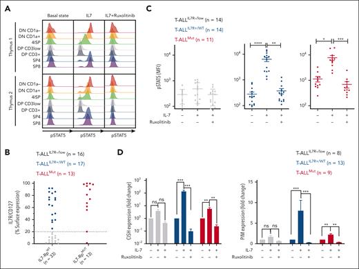 Functional signaling and targeting of IL-7Rp in normal and malignant thymocytes. (A) Independent human thymi (n = 2) were cultured for 15 minutes in a complete medium deprived of IL-7 (basal state), supplemented with IL-7 (100 ng/mL) (IL-7), or supplemented with IL-7 and ruxolitinib (500 nM; IL-7+ruxolitinib). pSTAT5 Y694 was then assessed by FC for each condition and each subpopulation (histograms). Data are presented according to subsetting into thymocytic subpopulations. DN, double negative; DP, double positive; ISP, immature simple positive; SP, single positive. (B) sIL-7R expression (%CD127+ blasts) on PDXs (n = 46) used in the experiments. Samples are color-coded per the category of the T-ALL from which they are derived. (C) PDX cells were cultured as described for panel A before being subjected to pSTAT5 Y694 analysis by FC. Dot plots represent pSTAT5 median of fluorescence intensity for each case and each condition. Mean and SEM are represented. Friedman test with post hoc Dunn multiple comparisons. ∗P < .05; ∗∗P < .01; ∗∗∗P < .001; ∗∗∗∗P < .0001. (D) PDX cells were cultured for 24 hours in complete medium deprived of IL-7, supplemented with IL-7 (100 ng/mL), or supplemented with IL-7 and ruxolitinib (1 μM) before the RNA extraction and quantification of CISH (left) and PIM1 (right) by qRT-PCR. Mean and SEM are represented. Friedman test with post hoc Dunn multiple comparisons. ns, not significant; ∗P < .05; ∗∗P < .01; ∗∗∗P < .001; ∗∗∗∗P < .0001.