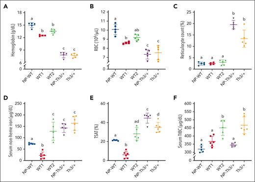 Effect of pregnancy on hematological and iron-related blood parameters in dams of both genotypes. (A) Hb levels; (B) RBC count; (C) reticulocyte count; (D) serum NHI; (E) TSAT; (F) TIBC. Data represent mean ± standard deviation (SD) for n = 6 mice per group (WT1 and Th3/+) or n = 5 mice per group (WT2, NP-WT, and NP-Th3/+). Data were analyzed by one-way analysis of variance (ANOVA) followed by Tukey multiple comparisons test. Groups labeled with different letters are significantly different from one another (P < .05). Significant main effects: panels A-F, P < .0001.