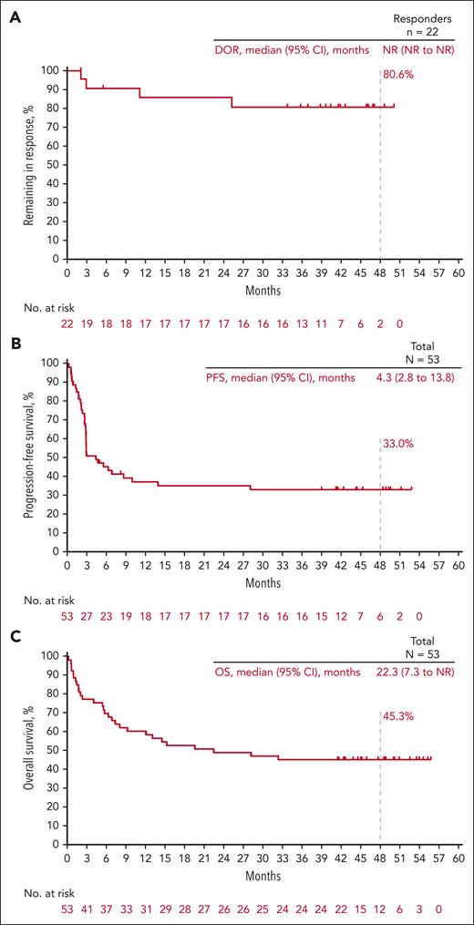 Kaplan-Meier estimates of response duration, progression-free survival and overall survival. (A) DOR; (B) PFS; (C) OS. NR, not reached.