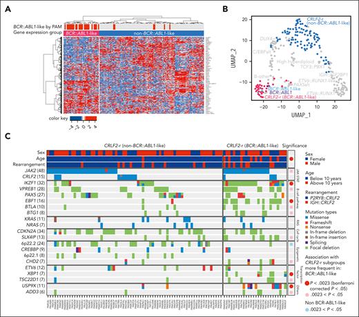 Heterogeneity of CRLF2-r DS-ALL. (A) Unsupervised hierarchical clustering of 130 CRLF2-r DS-ALL samples with RNA-Seq data identified a unique group of cases with BCR::ABL1-like gene expression signatures. BCR::ABL1-like classification by PAM based on non–DS-ALL data is indicated by red bars above the heatmap. (B) Projecting the BCR::ABL1-like and non–BCR::ABL1-like CRLF2-r subtypes to UMAP shows that BCR::ABL1-like CRLF2-r cases cocluster with BCR::ABL1 and non-CRLF2-r BCR::ABL1-like, and are distinct from non–BCR::ABL1-like CRLF2-r. (C) Genomic alterations in BCR::ABL1-like and non–BCR::ABL1-like CRLF2-r subgroups. Genes altered in >6% of CRLF2-r DS-ALL are shown.