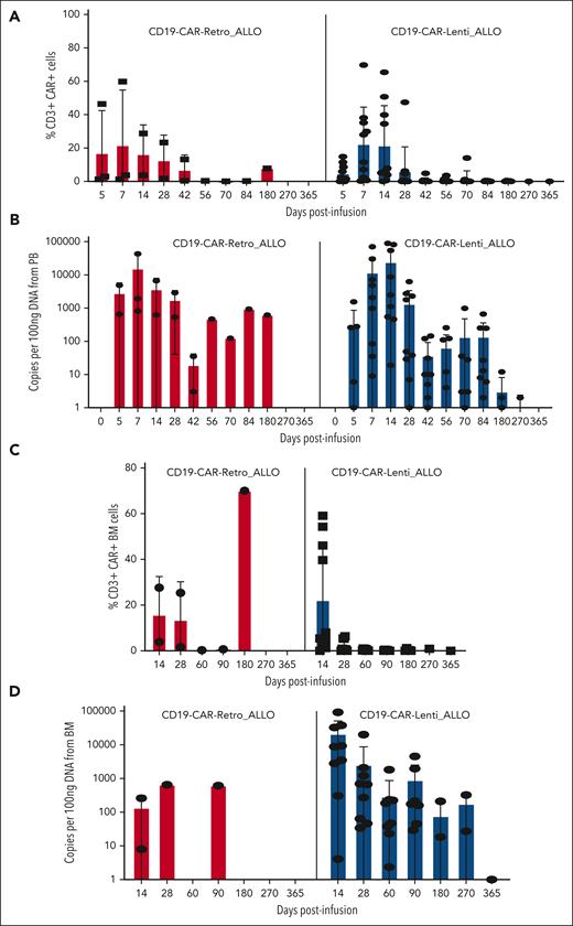 Evaluation of expansion, homing to the BM, and persistence of CD19-CAR_ALLO. Expansion and persistence of CD19-CAR_ALLO in the peripheral blood of the patients, evaluated via flow cytometry (A) and droplet PCR (B). Homing to the BM and persistence of CD19-CAR_ALLO, analyzed via flow cytometry (C) and droplet PCR (D). PCR, polymerase chain reaction.