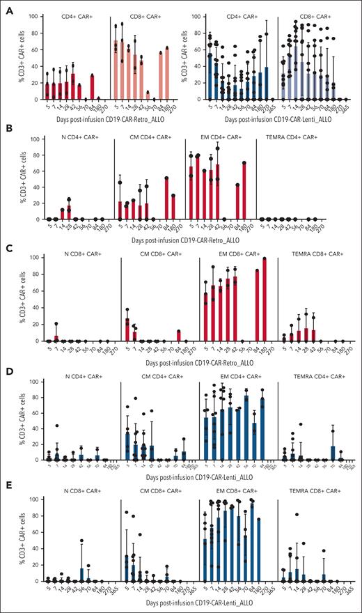 Characterization of circulating, expanded CAR-T cells. (A) The expanded CAR T-cell CD4/CD8 phenotype evaluated via flow cytometry for both CD19-CAR–Retro_ALLO and CD19-CAR–Lenti_ALLO. The memory phenotype, with identification of naive (N), CM, EM, and TEMRA subpopulations, was characterized via flow cytometry for the CD19-CAR–Retro_ALLO CD4+ (B) and CD8+ cells (C), and for the CD19-CAR–Lenti_ALLO CD4+ (D) and CD8+ cells (E).