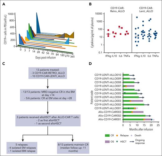 Evaluation of the BCA and cytokine profile and clinical outcome of the patients. (A) The kinetics of circulating CD19+ cells was monitored via flow cytometry over time in the peripheral blood of all the treated patients. (B) The levels of interferon gamma (IFNg), interleukin-10 (IL-10), IL-6, and tumor necrosis factor α (TNFa) were measured in the plasma of patients after infusion, and the concentrations at peak are shown. (C) Flowchart summarizing the responses and relapses observed in the cohort of patients; (D) Swimmer plot of all the treated patients showing the disease outcome and the patients receiving allo-HSCT. CR, complete remission; OS, overall survival.