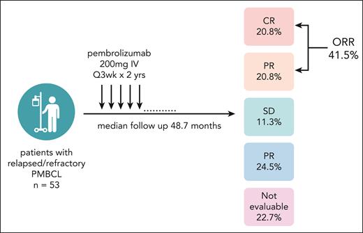 Study schema and best overall response. Among the patients who were not evaluable, 9 (17%) died before the first assessment, 2 (3.7%) received subsequent anti-cancer therapy before the first assessmenet and 1 (1.9%) was not assessed. Image created with biorender.com.