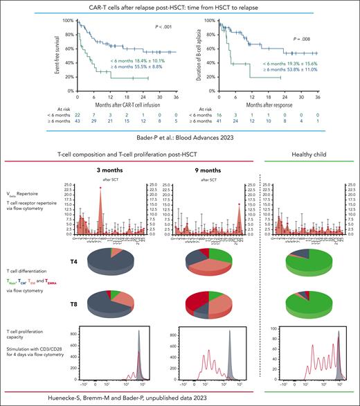 Treatment with autologous CAR-T cells in patients who relapsed >6 months from HSCT led to superior survival compared with patients who relapsed <6 months from transplant. In patients with early relapse, B-cell persistence was shorter than in patients who relapsed >6 months post-HSCT.8 Early after HSCT the composition of the T-cell repertoire in patients is skewed and normalizes with time. The ability of these T cells to proliferate is reduced compared with a later time after HSCT and compared with T cells of healthy individuals. This might cause the diminished persistence of autologous CAR-T cells when given early after HSCT and demonstrates the importance of the report from del Bufalo et al in which CAR-T cells were generated from healthy donors. TCM, central memory T cell; TEM, effector memory T cell; TEMRA, effector memory T cell reexpressing CD45RA; TNaiv, naive T cell; Vbeta, V beta T cell repertoire.