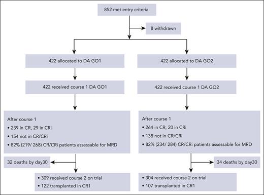 Consolidated Standards of Reporting Trials diagram.