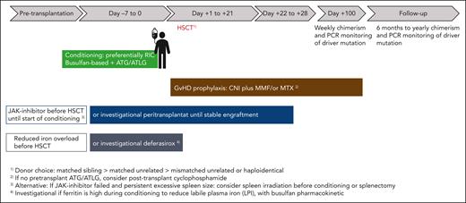 Optimized general pre and peritransplant approach. ATG, antithymocyte globulin; CNI, calcineurin inhibitor; MMF, mycophenolate mofetil; MTX, methotrexate; PCR, polymerase chain reaction.