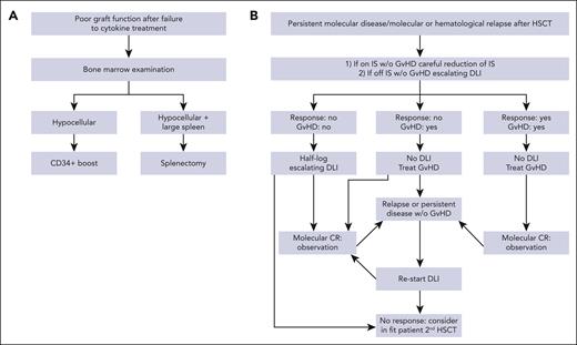 Handling of graft failure, poor graft function, and relapse. (A) Suggested treatment approach in case of poor graft function; (B) algorithm for residual disease or relapse. CR, complete remission; IS, immunosuppression; w/o, without.