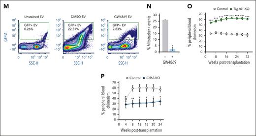 Blockade of nSMase-2 results in mitochondrial export deficits. (A) Average total number of unique proteins identified by quantitative LC-MS/MS of EVs derived from SMPD3-KO (EVSMPD3-KO, n = 3) vs AAVS1-KO (EVCon, n = 3) human CD34+ cells. (B) Principal component analysis (PCA) plot of vesicle proteomes. (C) Overlap in unique proteins identified in EVSMPD3-KO and EVCon. (D) Proportions and (E) volcano plot of depleted and enriched proteins differentially abundant in EVSMPD3-KO compared with EVCon. The dotted horizontal line represents −log10(P = .05). (F) String analysis of protein-protein networks depleted in EVSMPD3-KO. Gene ontology analysis of the (G) molecular function or (H) cell compartment of proteins significantly depleted in EVSMPD3-KO. (I) Representative immunoblot analysis and (J) quantitation of mitochondrial proteins depleted in EVs derived from HSPCGW, equal volume loaded. (K) Total DNA extracted from HSPCGW vesicles after 2000g (2K), 10 000g (10K), or 100 000g (100K) centrifugations; the dotted line indicates average normalized EV DNA extracted from HSPCCon vesicles. (L) Relative copy number of mtDNA regions per genes in cells and 100K vesicles after GW4869 treatment; dotted line represents normalized controls. Representative fluorescence-activated cell sorter plots (M) and quantification of MitoTracker staining in 100K vesicles (N). Relative chimerism measured over weeks after competitive transplantation of Tsg101-KO (n = 8) (O) or Cd63-KO (n = 7) (P) vs Rosa26-KO murine HSPCs (n = 15). ∗P < .05; ∗∗P < .01; ∗∗∗P < .001. Refer to supplemental Figures 5 and 6.