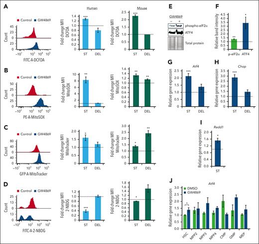 Transient nSMase-2 inhibition activates an ROS-driven ISR in human and murine HSPCs. Representative fluorescence intensity of human CD34+ cells and relative FCs in mean fluorescence intensity (MFI) of human CD34+ cells (blue histograms) and murine HSPCs (green histograms) after GW4869 treatment: ROS by DCFDA/DCF measurement (A), mitochondrial ROS measurement by MitoSOX assay (B), mitochondrial mass measurement by MitoTracker analysis (C), and 2-NBDG glucose analog uptake measurement (D). Representative immunoblots (E) and quantitative analysis of phosphorylated eIF2α and total ATF4 protein levels in murine HSPCGW (F), equal protein loaded. Relative gene expression of Atf4 (G), Chop (H), and Redd1 (I) in murine HSPCGW. (J) Relative gene expression of Atf4 across murine HSPCGW subpopulations. Dotted lines represent normalized averages of DMSO-treated cell controls. ST, short-term time point (24 hours after GW4869 initiation). DEL, delayed time point (5 days after GW4869 withdrawal). ∗P < .05; ∗∗P < .01; ∗∗∗P < .001. Refer to supplemental Figure 7.