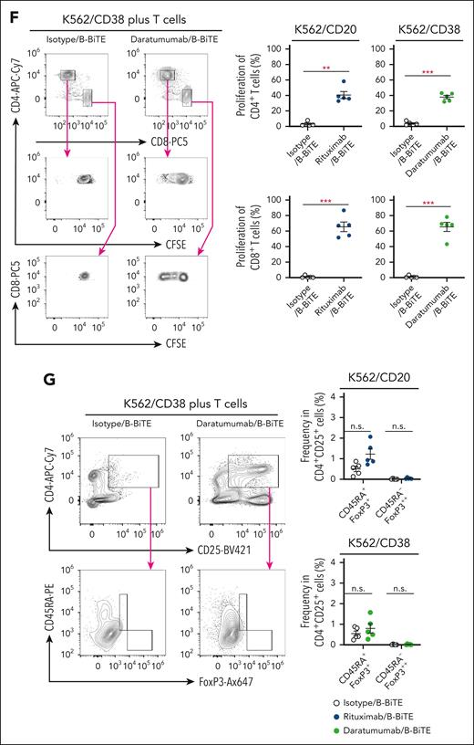 B-BiTE and specific activation of human T cells by a mAb/B-BiTE complex. (A) B-BiTE was purified and then detected using anti-His mAb. (B) K562, K562/CD20, K562/CD38, Raji, Jurkat, and Jurkat 76 cells were stained with each mAb/B-BiTE complex (blue), containing 10 μg/mL isotype, rituximab, or daratumumab bound to 3.3 μg/mL B-BiTE. K562/CD20 and K562/CD38 cells were established by transduction with the CD20 or CD38 gene, respectively. The gray histogram shows the staining with PE-anti-His mAb alone. (C-E) Freshly isolated human peripheral blood CD3+ T cells derived from 6 different donors were cocultured with K562 (red), K562/CD20 (blue), or K562/CD38 (green) cells in the presence of isotype/B-BiTE, rituximab/B-BiTE, or daratumumab/B-BiTE (mAb, 7.5 μg/mL; B-BiTE, 2.5 μg/mL). Multiple cytokine production by CD8+ T cells and CD4+ T cells was evaluated by intracellular staining assay. The gating strategy and representative cytokine plots of CD8+ T cells and CD4+ T cells against K562/CD38 cells are shown (C), and the results for K562/CD20 cells (D) and K562/CD38 cells (E) are summarized. Each dot represents a donor, and an isotype/B-BiTE complex was prepared as a negative control. (F) Freshly isolated human peripheral blood CD3+ T cells derived from 5 different donors were labeled with CFSE, and stimulated with irradiated K562/CD20 and K562/CD38 cells at an E:T ratio of 10:1 in the presence of rituximab/B-BiTE, daratumumab/B-BiTE, or isotype/B-BiTE complex (mAb, 7.5 μg/mL; B-BiTE, 2.5 μg/mL). After 5 days of incubation, the mean fluorescence intensity (MFI) of CFSE–labeled CD4+ T cells and CD8+ T cells was examined. Representative stainings of CD4+ T cells and CD8+ T cells derived from the same donor are depicted (left), and their proliferation (%) against indicated target cells is summarized (right). The percentage was calculated as: (control MFI – experimental MFI)/(control MFI) × 100 (%). (G) CD45RA+FoxP3+ and CD45RA–FoxP3++ populations among CD4+CD25+ T cells after stimulation, similar to panel F, were measured. Representative stainings are shown (left), and the frequency of the indicated population from each donor is depicted (right). All paired data were evaluated statistically by a paired t test (2-sided). Error bars show the SD. ∗P < .05; ∗∗P < .01; ∗∗∗P < .001. CFSE, carboxyfluorescein diacetate succinimidyl ester; E:T, effector to target; MFI, mean fluorescence intensity; n.s., not significant; PE, phycoerythrin; SD, standard deviation.