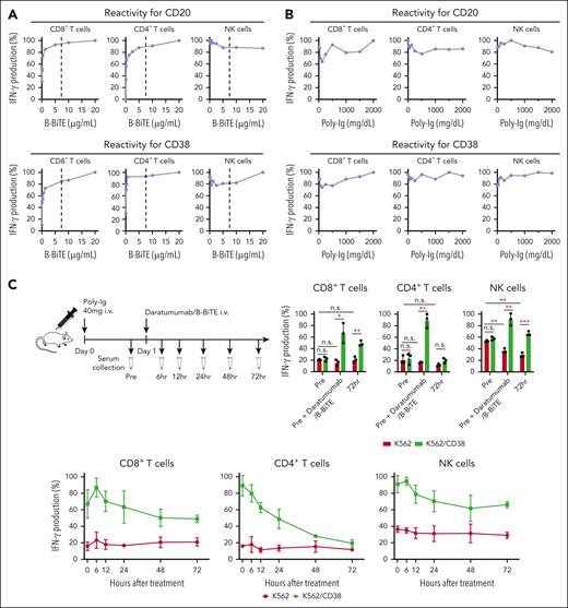 Preserved NK cell reactivity and stability of a mAb/B-BiTE complex. (A) IFN-γ production by isolated human CD3+ T cells including CD8+ T cells (left) and CD4+ T cells (middle), and human NK cells (right) against K562/CD20 cells (top) or K562/CD38 cells (bottom), was measured in the presence of 7.5 μg/mL rituximab or daratumumab together with graded concentrations of B-BiTE. The concentration of mAb is indicated as a dotted line in each graph. The maximal IFN-γ production by responder cells against target cells was considered as 100%, and each reactivity was calculated relative to this value. (B) Human PBMCs were incubated with K562/CD20 cells (top) or K562/CD38 cells (bottom) in the presence of rituximab/B-BiTE or daratumumab/B-BiTE complex (mAb, 7.5 μg/mL; B-BiTE, 2.5 μg/mL) with different concentrations of human Poly-Ig. Competitive assays were performed, and the IFN-γ production by human CD8+ T cells (left), CD4+ T cells (middle), and NK cells (right) was measured by intracellular cytokine assay. IFN-γ production (%) in the presence of each concentration of Poly-Ig was calculated relative to that induced by rituximab/B-BiTE or daratumumab/B-BiTE for K562/CD20 cells or K562/CD38 cells in the absence of Poly-Ig and is plotted. (C) Poly-Ig (20 mg) was IV injected into irradiated NOD/Shi-scid IL-2rγ(null) mice (n = 3) twice with a 12-hour interval, on day 0 (Poly-Ig, 40 mg/mouse). Daratumumab/B-BiTE complex (daratumumab, 30 μg; B-BiTE, 10 μg) was similarly injected into the mice on day 1. Murine serum was collected at each time point (before treatment and 6, 12, 24, 48, and 72 hours after treatment) (top left). Then, human PBMCs were cocultured with K562 cells or K562/CD38 cells in wells containing each collected serum. A sample just after administration of daratumumab/B-BiTE (0 hour) was prepared by adding it to pretreated serum in vitro (40 μg/mL). IFN-γ production by CD8+ T cells (bottom left), CD4+ T cells (bottom middle), and NK cells (bottom right) against target cells was measured. The maximal IFN-γ production by responder cells was considered as 100%, and each reactivity was calculated relative to this value. The values obtained before treatment, at 0 hour, and at 72 hours after treatment were also compared directly (top right). Error bars show the SD. ∗P < .05; ∗∗P < .01; ∗∗∗P < .001; n.s., not significant; Poly-Ig, polyclonal immunoglobulin.
