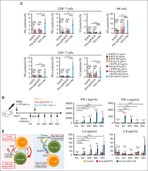 Assessment of potential off-target reactivity induced by a mAb/B-BiTE complex. (A-C) Fresh human PBMCs isolated from 5 different donors were incubated in the presence of 2.5 μg/mL B-BiTE alone (A), 7.5 μg/mL Poly-Ig with 2.5 μg/mL B-BiTE (B). Much higher concentrations of B-BiTE alone or Poly-Ig with B-BiTE were also tested as indicated (C). Cytokine production by CD8+ T cells, CD4+ T cells, and NK cells was assessed by intracellular cytokine staining. Human IgG1-based antihuman CD3 mAb (clone OKT3) was used as a positive control. Each dot represents each donor. A paired t test (2-sided) was performed for comparison, and error bars show the SD. ∗P < .05; ∗∗P < .01; ∗∗∗P < .001; n.s., not significant. (D) Ten million freshly isolated human PBMCs were injected IV into NOD/Shi-scid IL-2rγ(null) mice (n = 5). After 4 days of PBMC injection, these mice were administered indicated antibodies (antibody, 30 μg/mL; B-BiTE, 10 μg/mL). A series of human cytokines that were contained in each murine serum were measured by cytokine beads assays. Each dot represents each mouse. The Welch t test (2-sided) was performed for comparison, and error bars show the SD. Each group as well as each of the time points in the group treated with Poly-Ig/B-BiTE complexes were compared. The decrease in cytokines after treatment was not assessed statistically. ∗P < .05; ∗∗P < .01; ∗∗∗P < .001; ∗∗∗∗P < .0001; n.s., not significant. (E) Antihuman CD3 mAb with the human Fc domain is able to activate T cells and NK cells in the absence of target cells, resulting in induction of off-target reactivity (left). In contrast, the mAb/B-BiTE is able to activate neither human T cells nor NK cells without target cells (right). Poly-Ig, polyclonal immunoglobulin; SD, standard deviation.