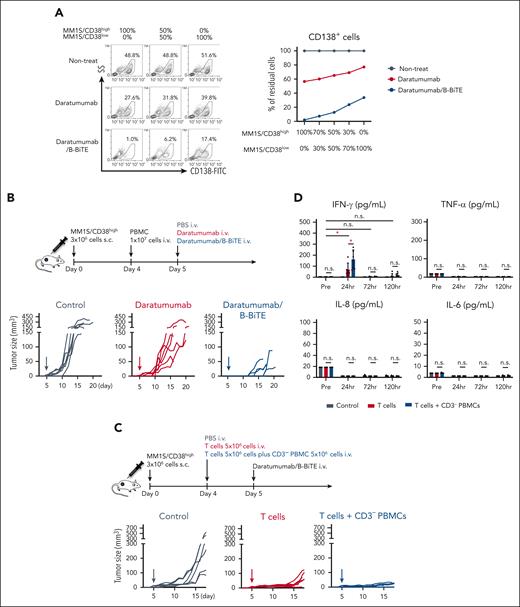 In vivo antimyeloma effects and on-target cytokine release mediated by a mAb/B-BiTE complex. (A) Target myeloma cells including MM1S/CD38high and MM1S/CD38low cells at different ratios were prepared. CD19– human PBMCs were cocultured with these target cells at an E:T ratio of 4:1 in the presence of daratumumab, or daratumumab/B-BiTE (daratumumab, 7.5 μg/mL; B-BiTE, 2.5 μg/mL), and the proportion of CD138+ MM1S cells among total cells was measured (left). The percentage of MM1S cells after treatment with antibodies was calculated relative to the frequency of MM1S cells without any antibodies and is plotted as residual cells (right). (B) Three million MM1S/CD38high cells were injected subcutaneously into the right flank of irradiated NOD/Shi-scid IL-2rγ(null) mice. After engraftment of the MM1S/CD38high cells, 1.0 × 107 freshly isolated human PBMCs were injected IV into the mice on day 4. On day 5, daratumumab (30 μg) or daratumumab/B-BiTE complex (daratumumab, 30 μg; B-BiTE, 10 μg) was similarly injected into each mouse, followed by measurement of tumor sizes (n = 6 mice per group). (C) Three million MM1S/CD38high cells were similarly inoculated into NOD/Shi-scid IL-2rγ (null) mice. After engraftment, 5.0 × 106 freshly isolated human T cells or 5.0 × 106 human T cells together with 5.0 × 106 CD3– PBMCs were injected IV into the mice on day 4. On day 5, daratumumab/B-BiTE complex was similarly injected into each mouse, followed by measurement of tumor sizes (n = 6 mice per group). (D) To assess the amounts of cytokines, the experiment in panel C was repeated again, and murine sera were collected at each time point. A series of human cytokines contained in each murine serum were measured using cytokine beads assays. Each dot represents an individual mouse. The Welch t test (2-sided) was performed for comparison, and error bars show the SD. Each of the groups as well as each of the time points in the group treated with both T cells and CD3– PBMCs were compared. Decreases in cytokines after treatment were not assessed statistically. ∗P < .05; E:T, effector to target; n.s., not significant; SD, standard deviation.
