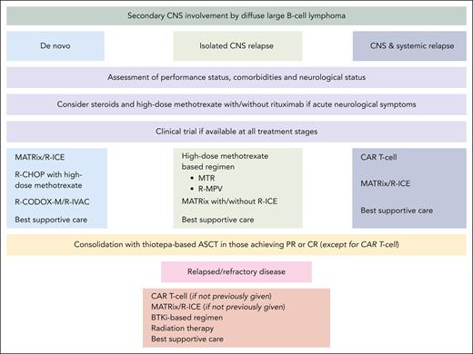 Treatment approach for 3 possible clinical scenarios of secondary CNS involvement by DLBCL. PR, partial response.