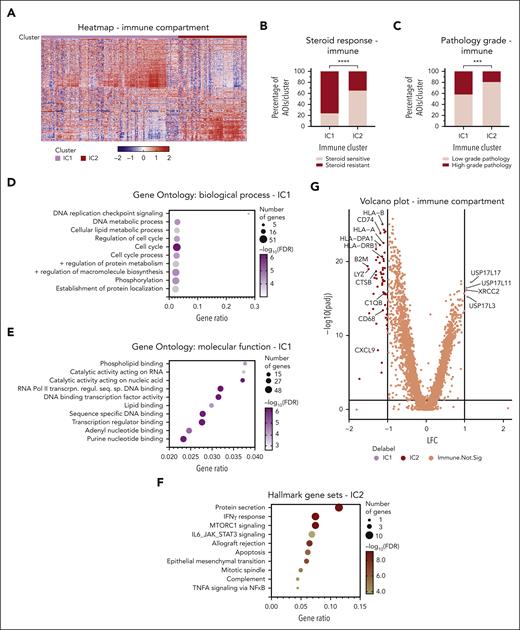 Immune compartment transcriptional analysis in aGVHD of colon. (A) Two clusters visualized in this unsupervised heat map, IC1 and IC2. Rows represent genes, and each column is an AOI. (B-C) A preponderance of AOIs from LG pathology areas and SS patients in IC2. P value calculated by Fisher exact test. ∗∗∗P = .0007; ∗∗∗∗P < .0001. (D) Hallmark gene set enrichment for IC2 genes with interferon gamma (IFN-γ) response. (E-F) Gene Ontology enrichment for the genes upregulated in IC1 shows involvement of multifaceted DNA-binding pathways principally directed toward cell cycle regulation. (G) Volcano plot of differentially expressed genes between IC1 and IC2. FDR, false discovery rate; RNA Pol II transcrpn. regul. seq. sp. DNA binding, RNA polymerase II transcription regulatory region sequence-specific DNA binding.
