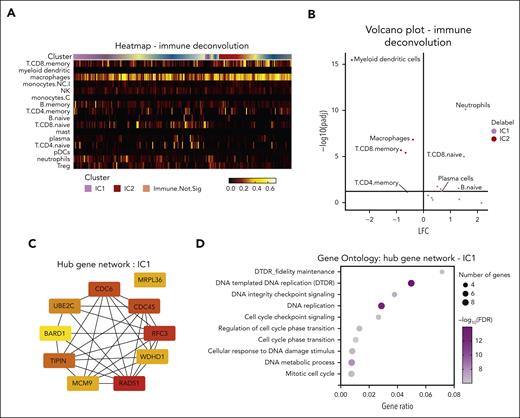 Characterization of IC1 aGVHD noncanonical immune niche. (A) The immune deconvolution heat map, showing distribution of different cellular phenotypes across clusters. (B) Volcano plot of differential enrichment of immune cell types. (C) Hub gene analysis of the top 10 most interacting genes/proteins enriched in IC1, identified by CytoHubba application on Cytoscape software. Red to yellow coloring correlated with decreasing interaction stores. (D) Gene Ontology pathways enriched in IC1, demonstrating multiple gene sets associated with DNA damage and cell cycle.
