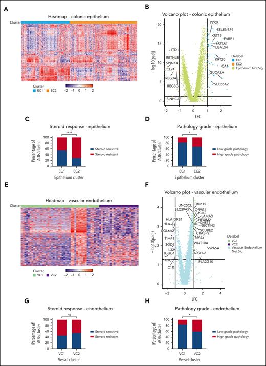 Transcriptomic profiling of colonic epithelium and vascular endothelium compartments in aGVHD of colon. (A) Unsupervised heat map of epithelial compartment, with the 2 most different hierarchical clusters marked. Rows represent genes, and each column is an AOI. (B) Epithelial volcano plot shows differentially expressed genes pertaining to mature colon epithelium with basal function and with minimal inflammatory presence in EC1 and an obvious inflammatory, chemotactic signature with some evidence of stem cell genes (regenerative activity?) in EC2. (C) The inflamed EC2 niche is enriched in SR patients (Fisher exact test, ∗∗∗∗P < .0001). (D) The basal EC1 niche has more tissue with LG damage (Fisher exact test, ∗P < .0186). (E) Unsupervised heat map of endothelial compartment similarly shows 2 clusters with (F) vascular cluster 2 (VC2) differentially expressing inflammatory genes. VC1 is a basal-leaning signature with genes related to solute channels, lipid handling, and cell-matrix interactions, and some genes pertaining to neoangiogenesis. (G) Neither cluster is overrepresented in differing steroid response (Fisher exact test, P = .6032), but (H) the inflamed, VC2 vessels are increased in HG pathology areas (Fisher exact test, ∗P = .0350).